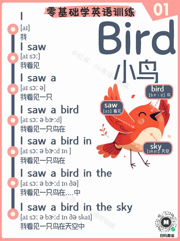 1 I Saw a Bird – Kids Song Collection I Saw a Bird – Kids Song Collection